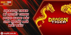 Dragon tiger